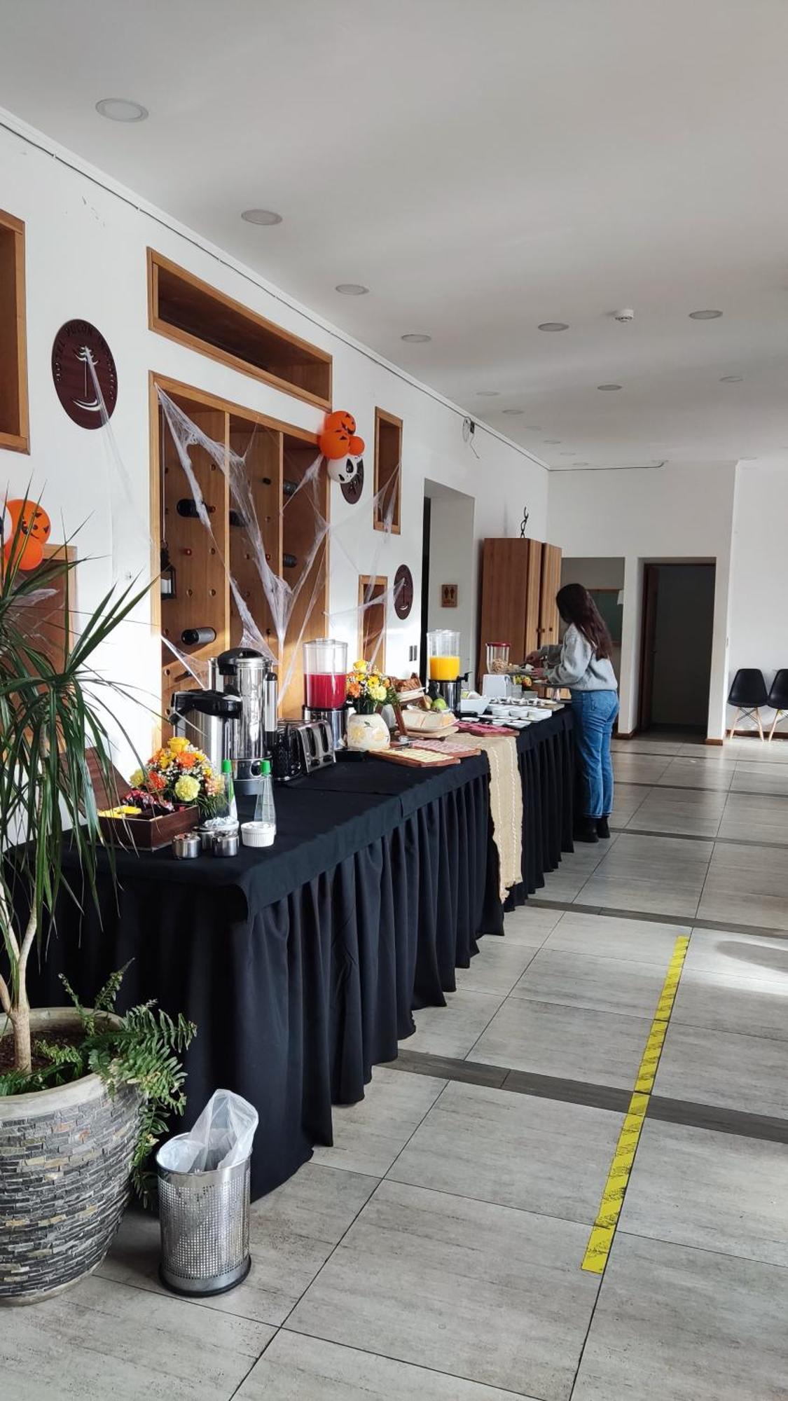 Hotel Pucon Indomito Kültér fotó